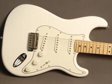 Fender stratocaster player gebraucht kaufen  Aschaffenburg