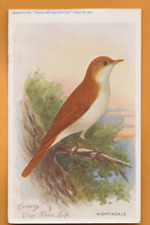 Pássaros- Canário e gaiola Bird Life, 1911- Rouxinol.    Cartão postal comprar usado  Enviando para Brazil