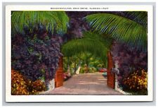 Florida bougainvillaea arch for sale  Tuscaloosa