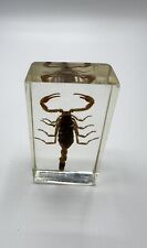 Goldener china skorpion gebraucht kaufen  Ismaning
