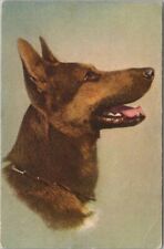 Vintage GERMAN SHEPHERD DOG Breed Postcard ALSATIAN WOLFHOUND Swiss Card /Unused for sale  Shipping to South Africa