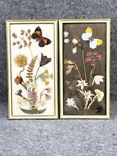 Set framed dried for sale  Westerly