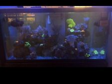 120 gallon aquarium d'occasion  Expédié en Belgium