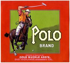 Polo brand rare for sale  Lone Tree