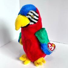 Jabber macaw parrot for sale  Shipping to Ireland