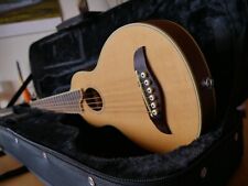 Washburn rover reisegitarre gebraucht kaufen  Stuttgart