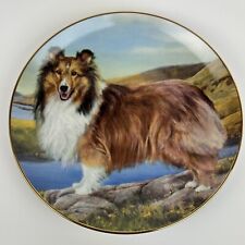 Shetland sheepdog collector for sale  Orting