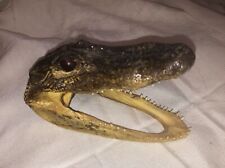 Alligator gator head for sale  Jetmore