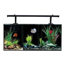 salt water fish tank for sale  Shipping to Ireland