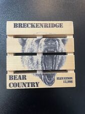 Mini paletes de madeira feitas à mão para esqui Breckeneidge • Porta-copos de madeira para bebidas comprar usado  Enviando para Brazil