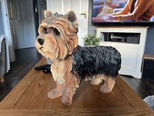 Large yorkshire terrier for sale  ALDERSHOT