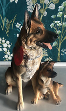 alsatian dog puppies for sale  WELSHPOOL