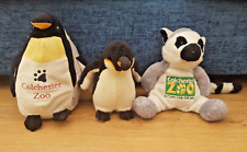 Colchester zoo penguin for sale  CHELMSFORD