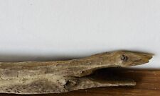 52cm long driftwood for sale  BRAINTREE