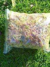 Feather moss for sale  KINGTON
