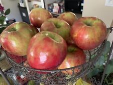 Honeycrisp apple seeds for sale  Copperas Cove