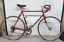 Mens vintage raleigh for sale  Hickory