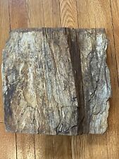 Petrified wood slab for sale  Rahway