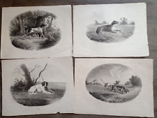 Chiens chasse lithographies d'occasion  Moulins