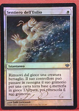 Magic mtg foil usato  Battaglia Terme