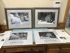 Charles frace artist for sale  Clarksville