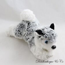 Peluche chien husky d'occasion  Cavaillon