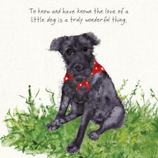 Patterdale terrier greeting for sale  UK