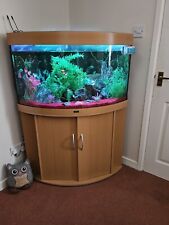 Jewel corner fish for sale  SWADLINCOTE