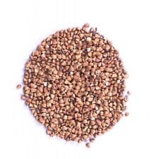 Organic roasted buckwheat for sale  CHELTENHAM