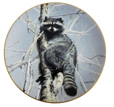 Nature lovables racoon for sale  Belle Fourche