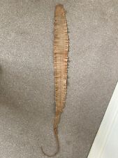 real snake skin for sale  STAINES-UPON-THAMES