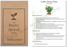 Coffee bean plant for sale  WINSFORD