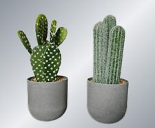 kaktus kunst gebraucht kaufen  Nordhausen