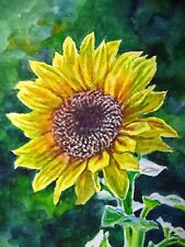 Watercolor painting sunflower for sale  USA