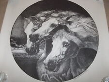Póster/estampado de diseño firmado con dibujo en blanco y negro de tres caballos segunda mano  Embacar hacia Mexico