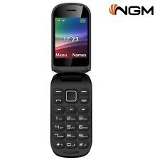 cellulare dual sim ngm fred usato  Santa Maria A Monte