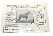 Triton morgan horses for sale  Kuna