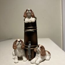 Cute king charles for sale  BIRMINGHAM