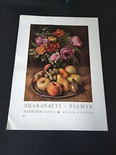 1942 sgaravatti piante usato  Romallo