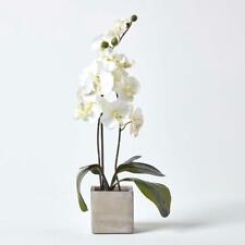 Artificial orchid flower for sale  CRADLEY HEATH