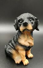 Rottweiler pup dog for sale  Punta Gorda