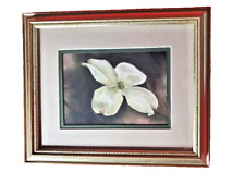 Magnolia bloom framed for sale  Columbus