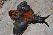 Rooster Chicken Feather Skin Pelt Hide,Orange,Red & Black Irredescent,Fly Tying for sale  Shipping to South Africa