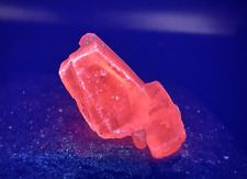 ➤ RED Colored FLUORESCENT CLEAR DANBURITE CRYSTAL - Mexico VIDEO➤269 for sale  Shipping to South Africa