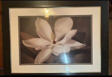 Flower magnolia framed for sale  Tioga