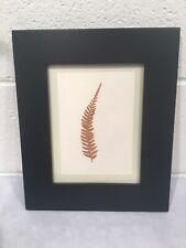 Framed matted fern for sale  Kalamazoo