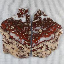 Rimrock hornitos poppy for sale  Halfway