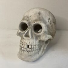 large black ceramic skull for sale  Modesto