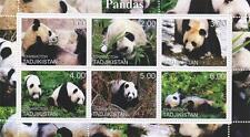 Panda bear wildlife for sale  BOURNEMOUTH