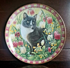 Cats among flowers for sale  PICKERING